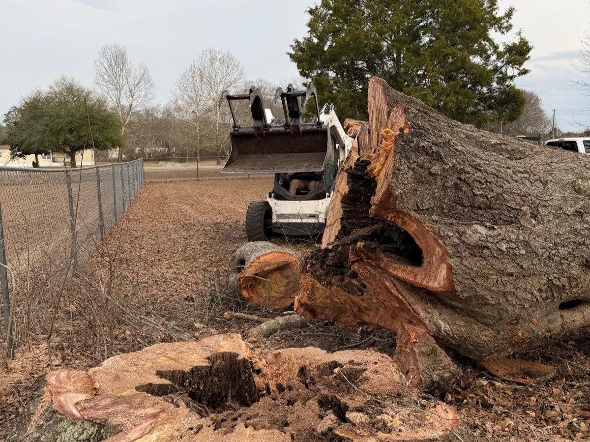 El Costeño Tree Service LLC